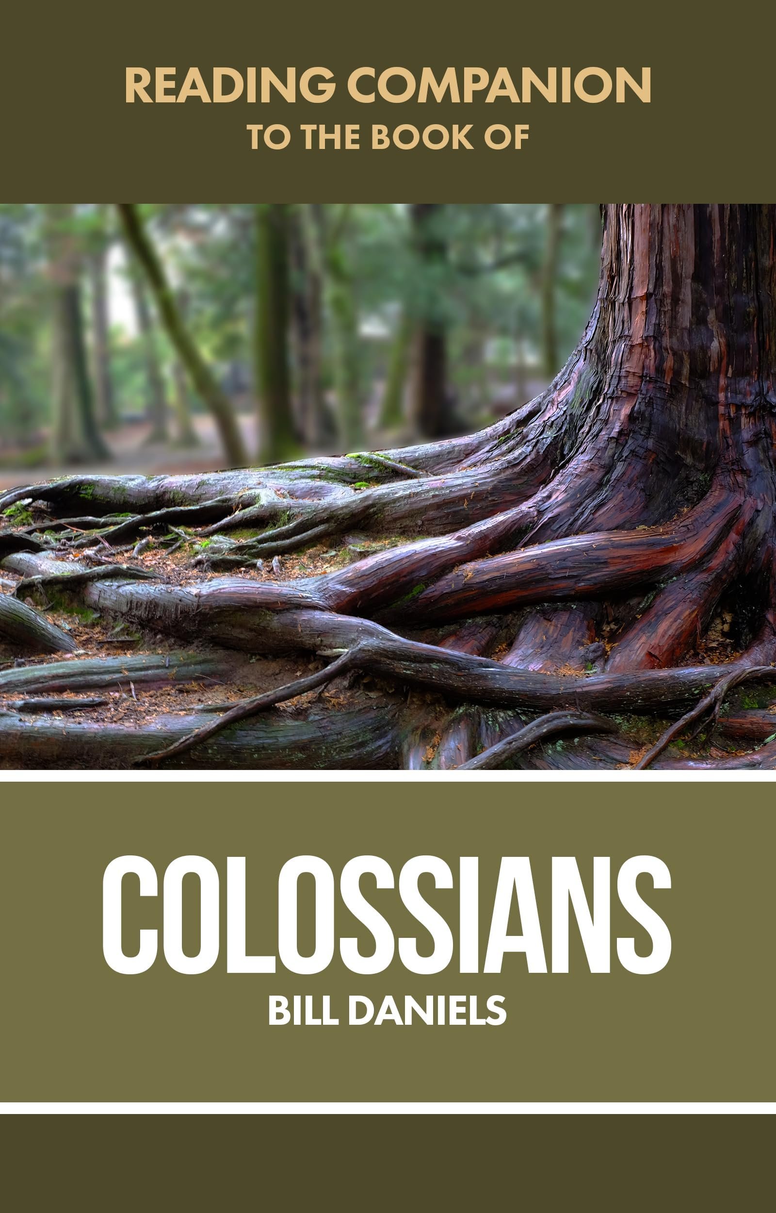 Reading Companion to the Book of Colossians
