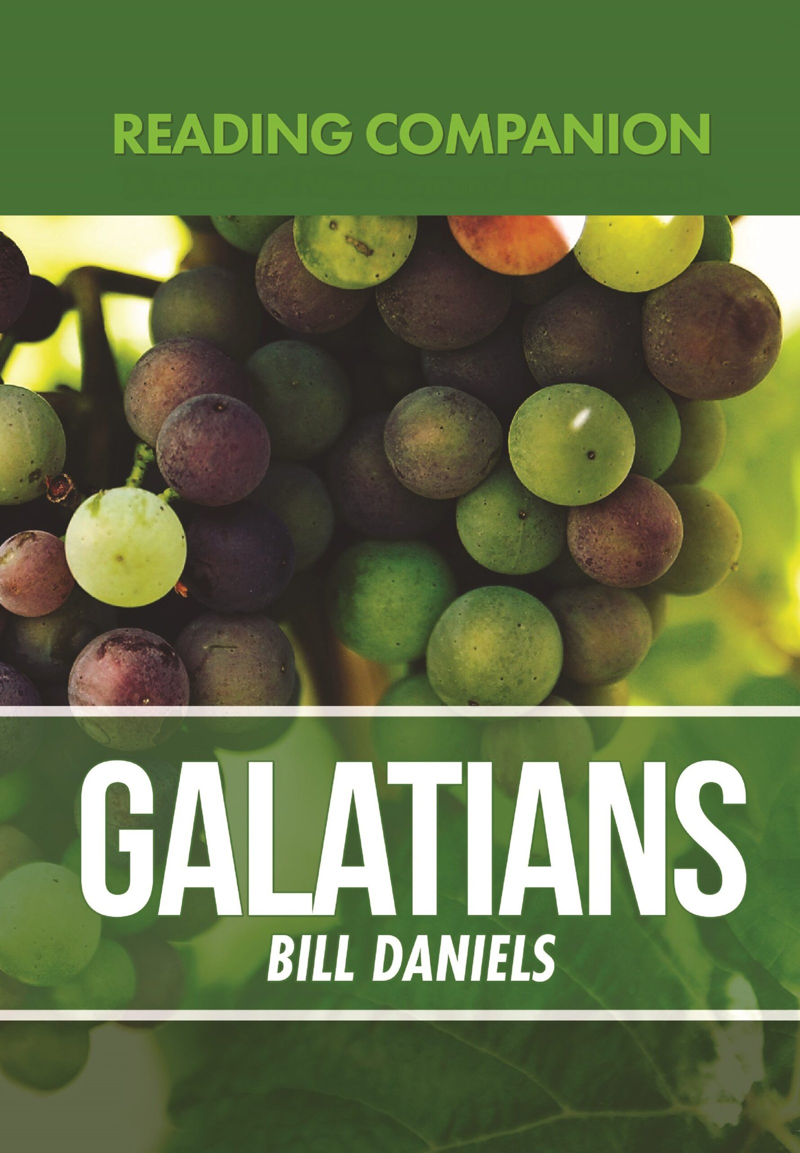 Reading Companion to the Book of Galatians