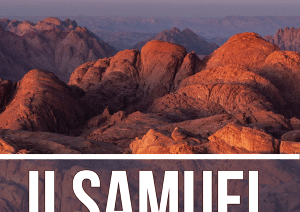 Reading Companion to the Book of II Samuel