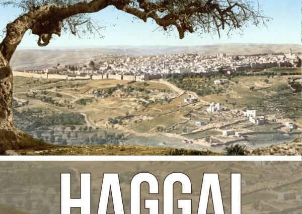 Reading Companion to the Book of Haggai