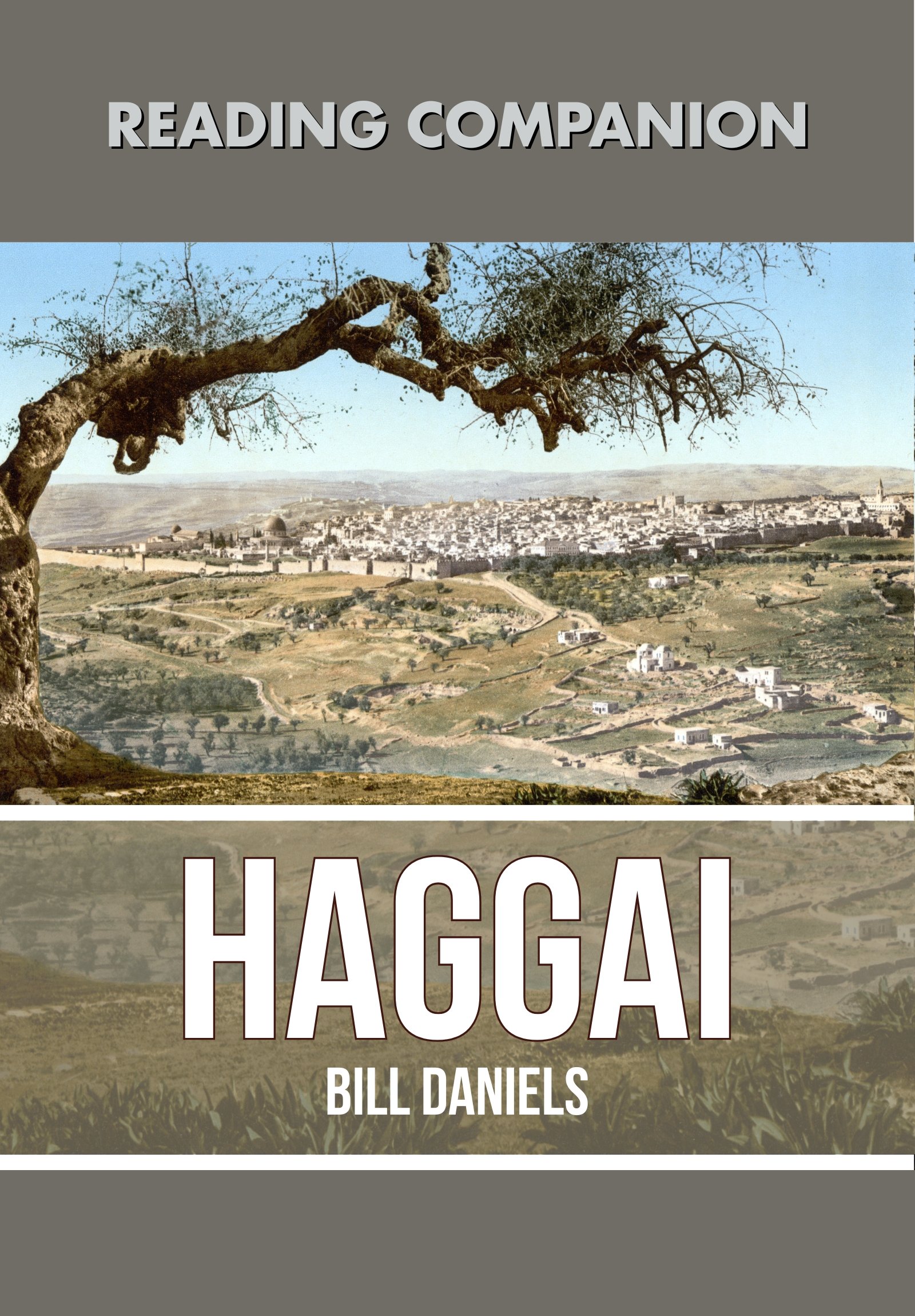 Reading Companion to the Book of Haggai